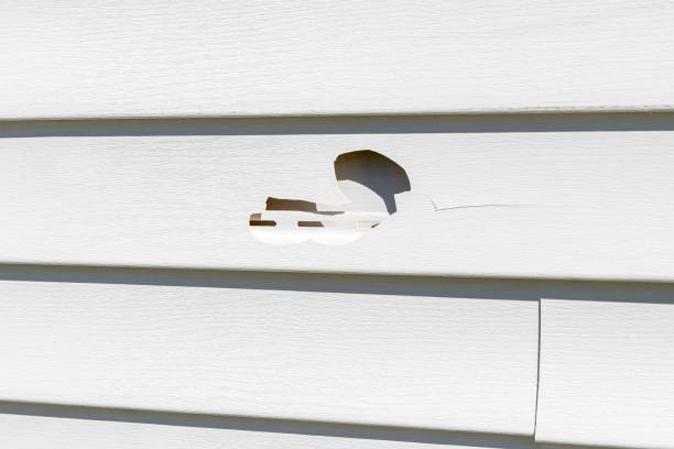 Best Custom Trim and Detailing for Siding  in Gonzales, LA