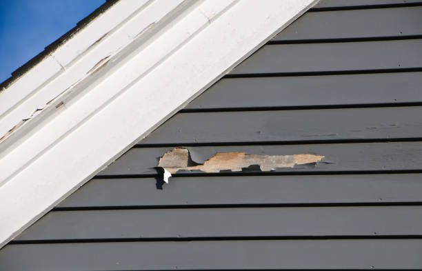 Best Siding Repair  in Gonzales, LA